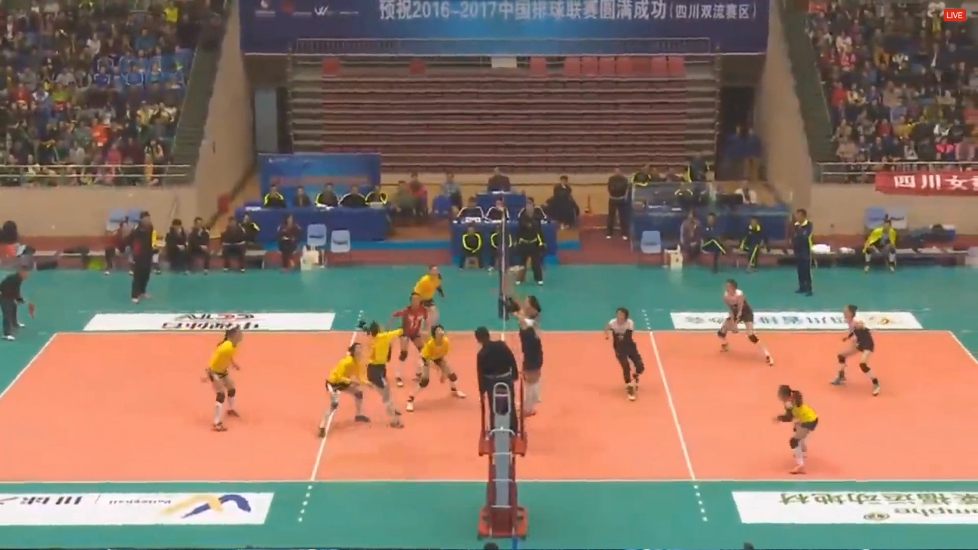 四川女排3-0再克八一