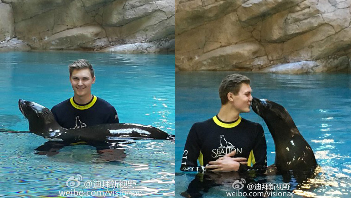 安塞龙与海狮在迪拜秀恩爱