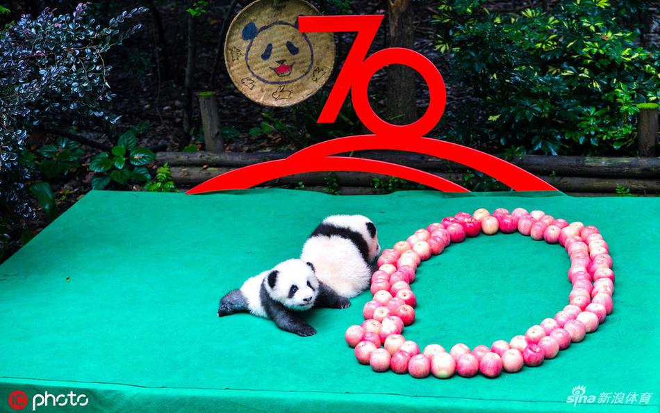 转码关键词60