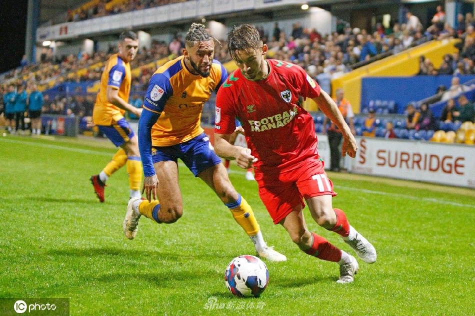 看台上主队球迷高举围巾，汇成一片欢庆的海洋，他们的呐喊是球队前进的第十二人力量。