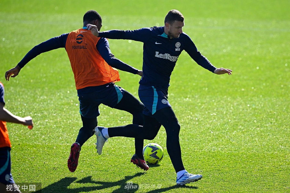 门将汉达诺维奇飞身跃起扑救险球，身体在空中完全舒展，手套即将触碰到疾射而来的皮球