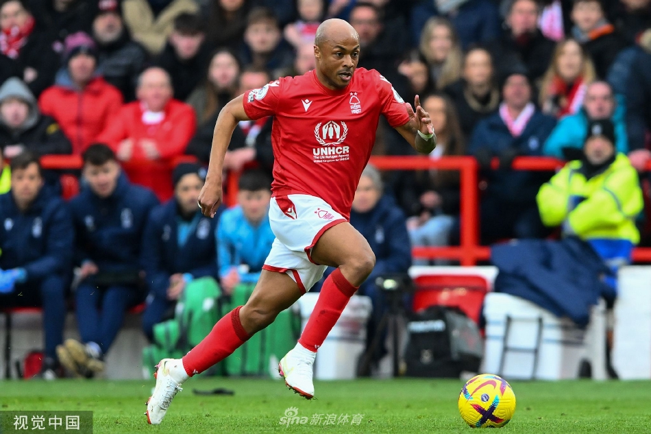 比赛结束后，双方教练在场边握手，表情严肃，显然都在思考这关键一分对赛季的影响