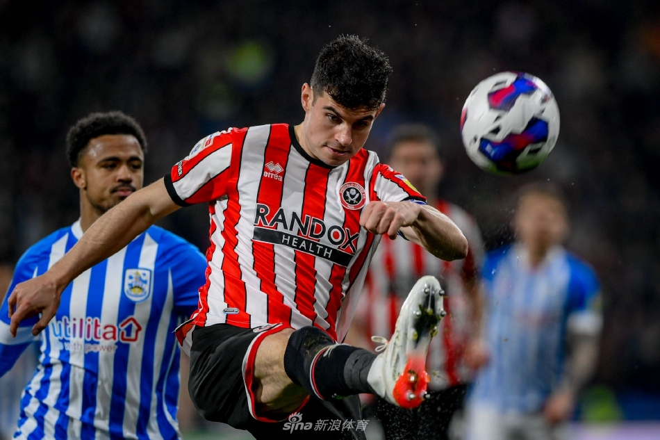 进球瞬间哈镇球员张开双臂狂奔庆祝，背景里谢菲联门将跪地懊恼，看台上主队球迷挥舞围巾欢呼雀跃。