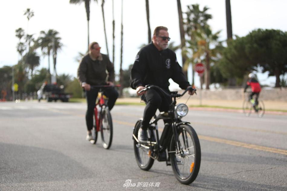 法布雷加斯转会