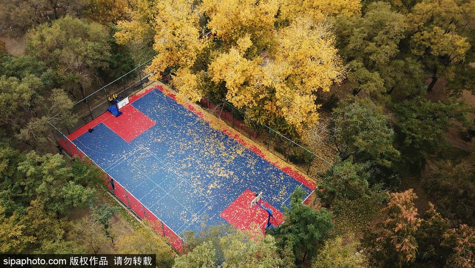 一名路人恰好经过满是落叶的篮球场边,红色的上衣与满地的金黄形成鲜明撞色,仿佛走进了秋天的童话世界。
