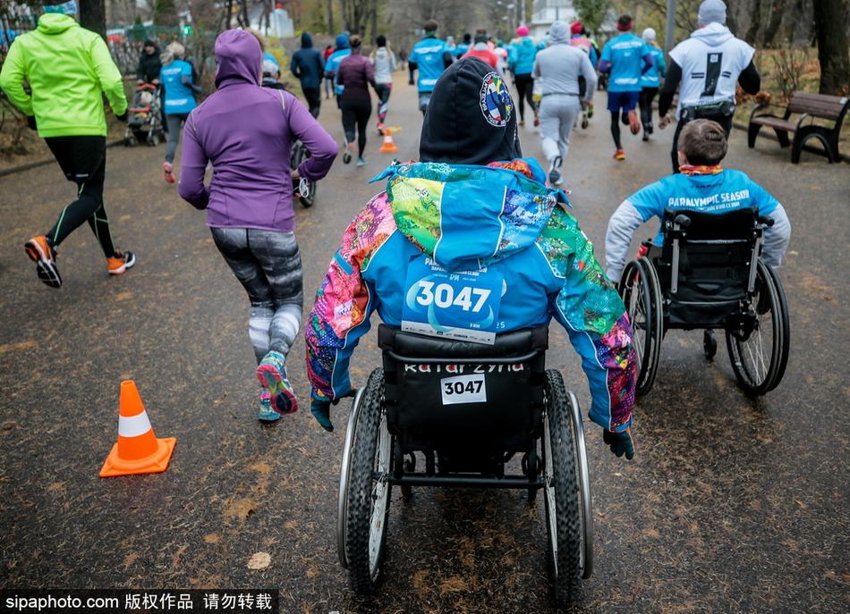 ld体育官方网站入口