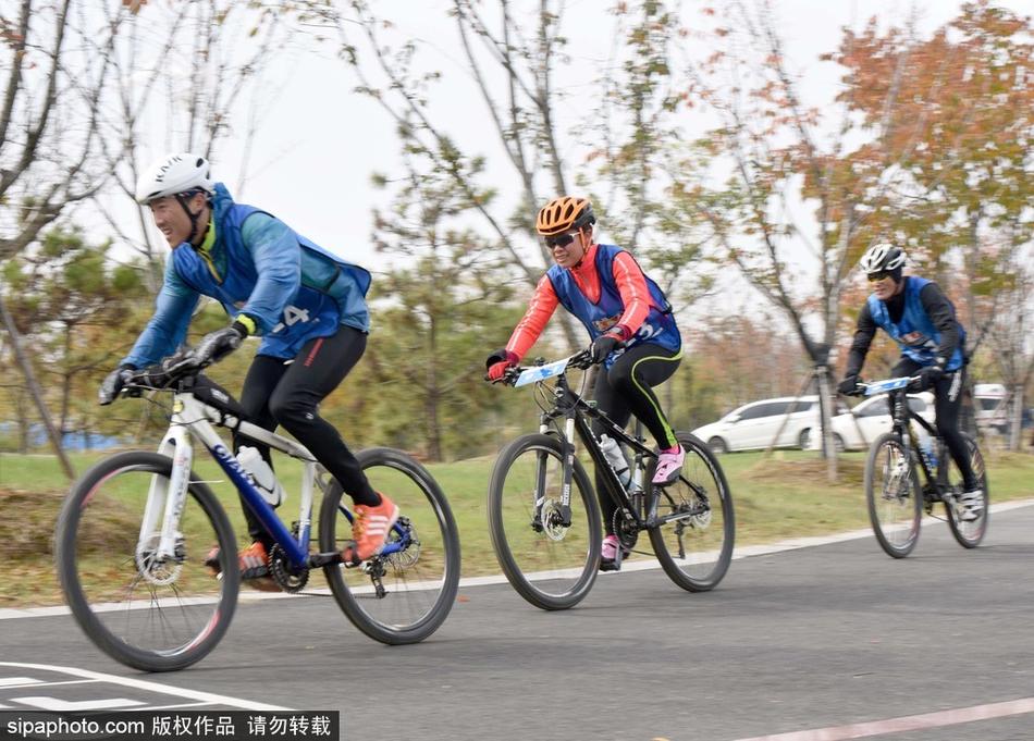 全民找不动游戏下载-全民找不动手机版下载v1.2 安卓版