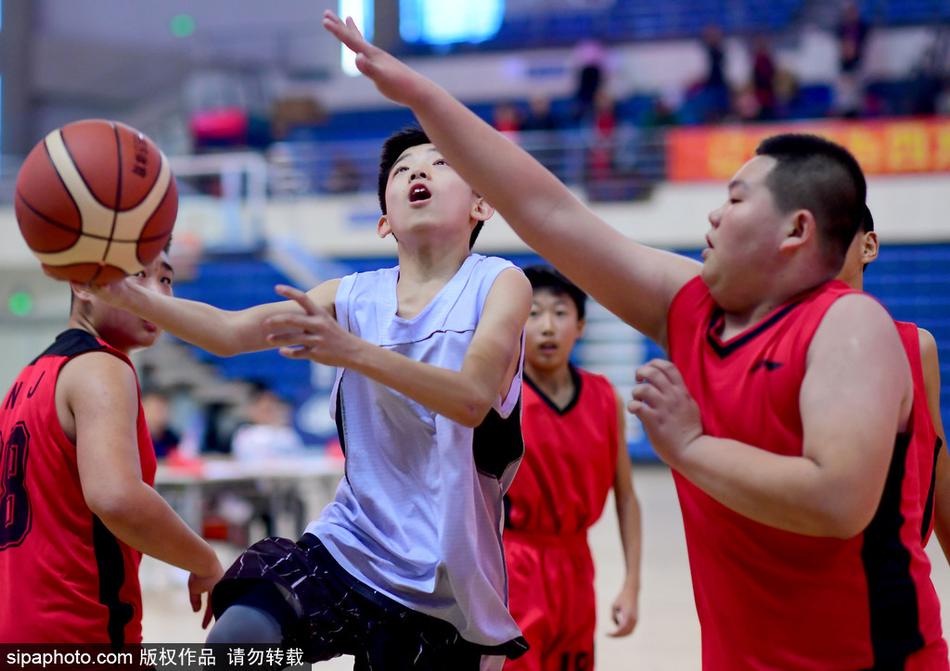 场边,辽青男篮主教练岳鹏飞双手抱胸,神情专注地盯着场上比赛,他的到来让小球员们更加卖力,仿佛看到了自己未来身披辽宁队战袍的样子。
