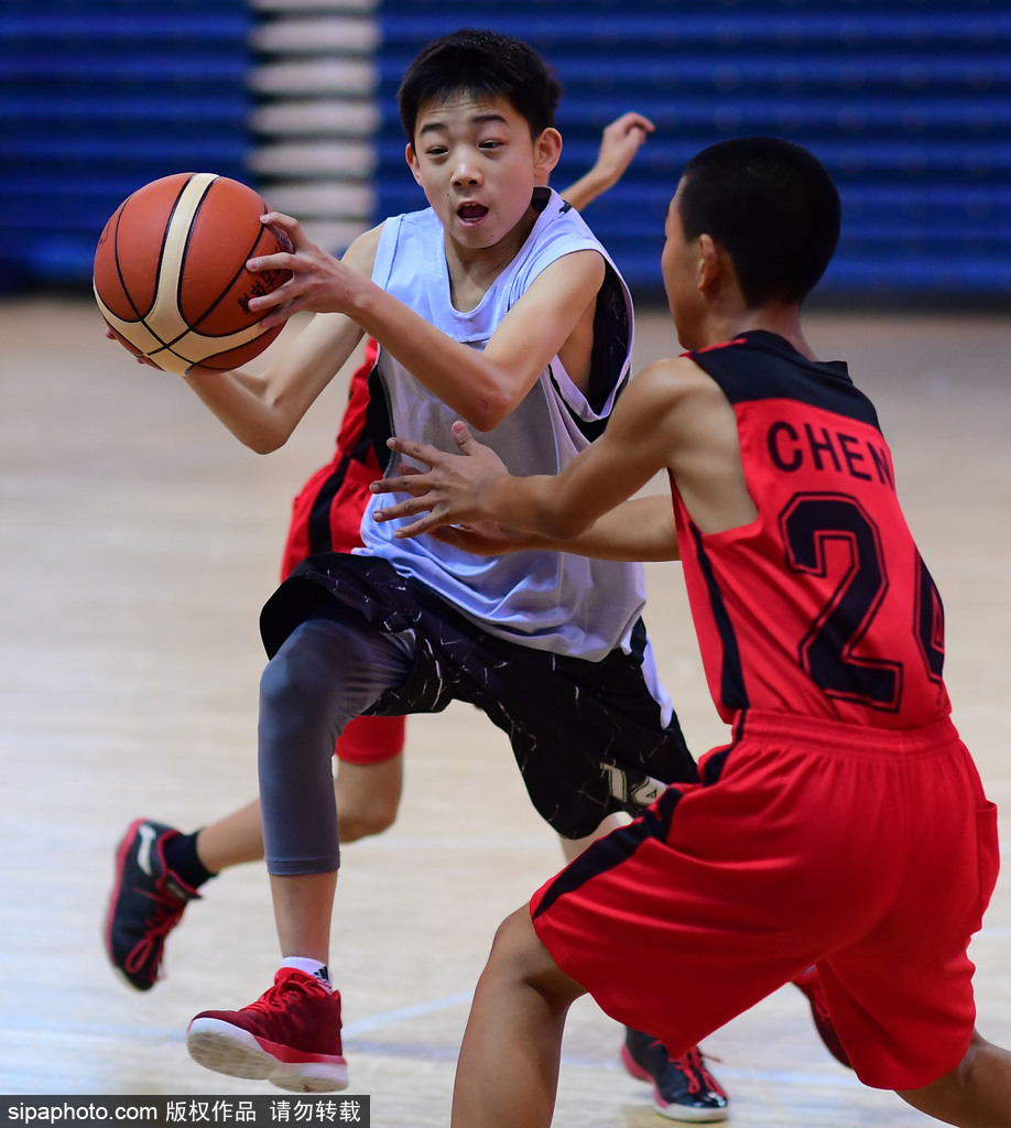 沈阳体育馆内,大幅辽宁篮球旗帜高悬,数百名身穿各色球服的篮球少年整齐列队,他们昂首挺胸,眼神中充满了对即将开始比赛的期待与兴奋。