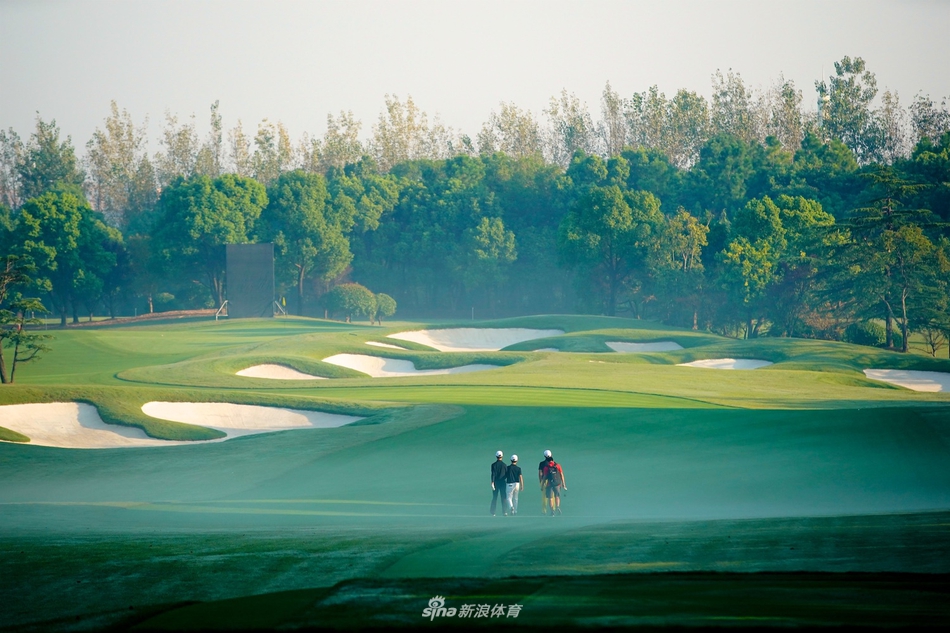 翠绿果岭如天鹅绒毯铺展，球洞旗在微风中轻颤，背景里层叠的树木仿佛天然的观众席