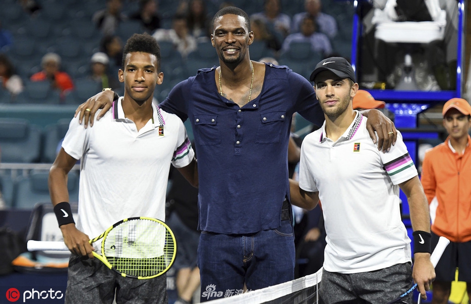 植物大战僵尸魔幻