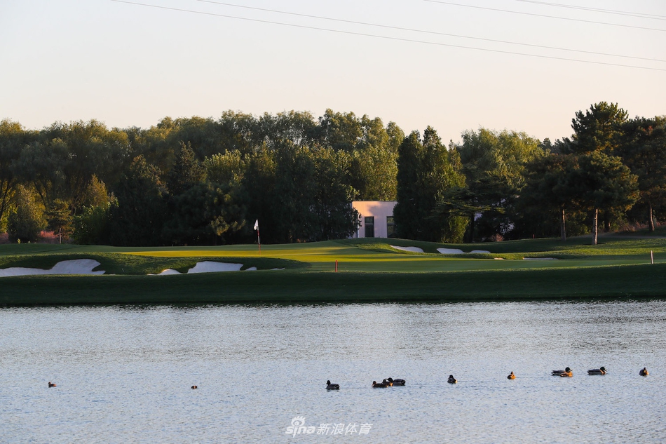 殷小雯与王馨迎在球道上默契同行，秋日阳光为她们的背影镀上金色轮廓，共同商讨下一杆的策略。