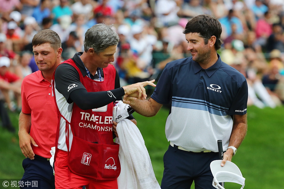 沃森在决赛轮中冷静观察果岭形势，准备进行关键一推。