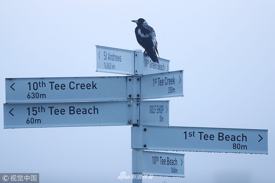 球场指示牌静静矗立在雾气渐散的球道上，清晰指向不同球洞，等待着下一组球员的到来。