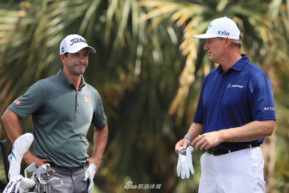 任成宰在果岭边凝神观察推杆线路，专注的眼神中透露着超越年龄的沉稳