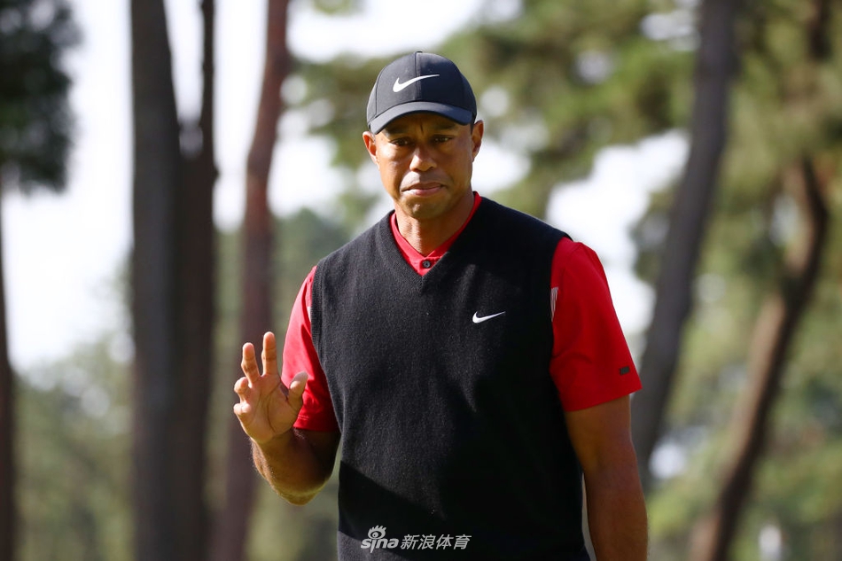 决赛轮比赛中，伍兹在全神贯注地阅读果岭推杆线路，计算着决定冠军归属的每一英寸坡度。