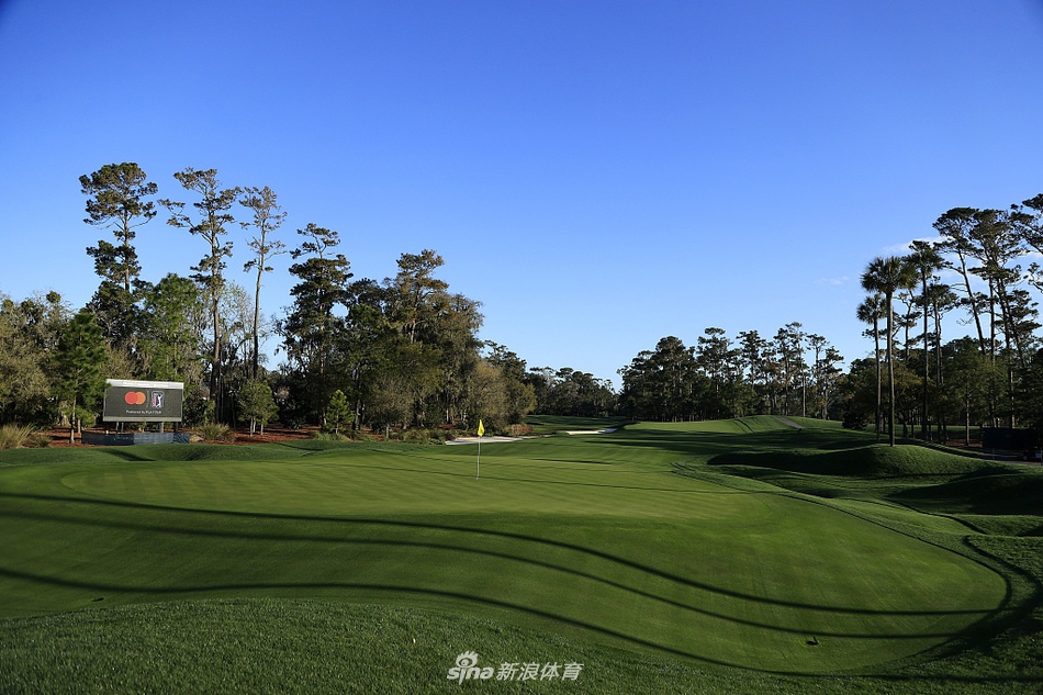 阳光洒在TPC锯齿草宽阔的球道上，球员正在专注攻果岭，整个赛场充满了大赛一触即发的紧张与期待。