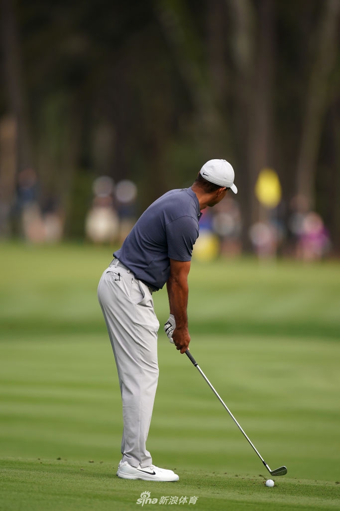 老虎伍兹准备击球,身姿挺拔如松,目光如炬锁定小球,展现出无可挑剔的预备姿势