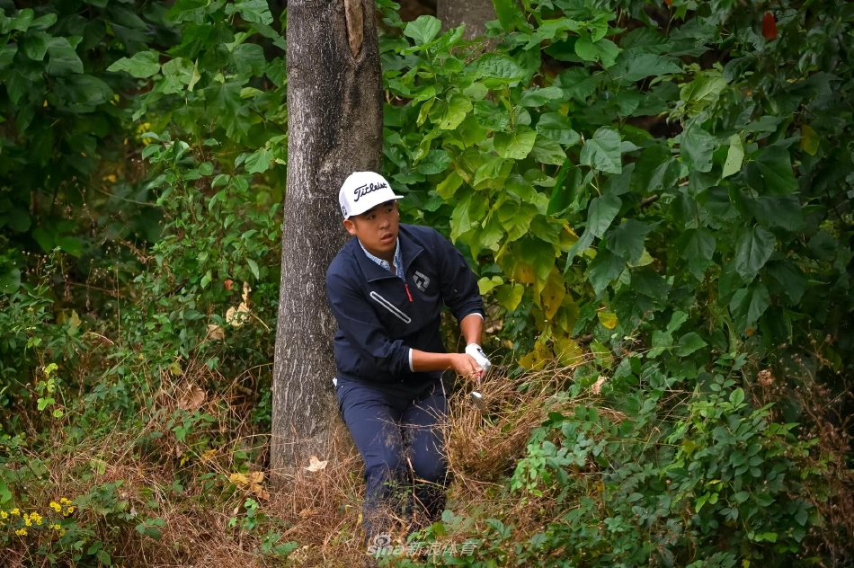 马成姚振臂庆祝胜利，背后是见证拼搏的禹山球场果岭