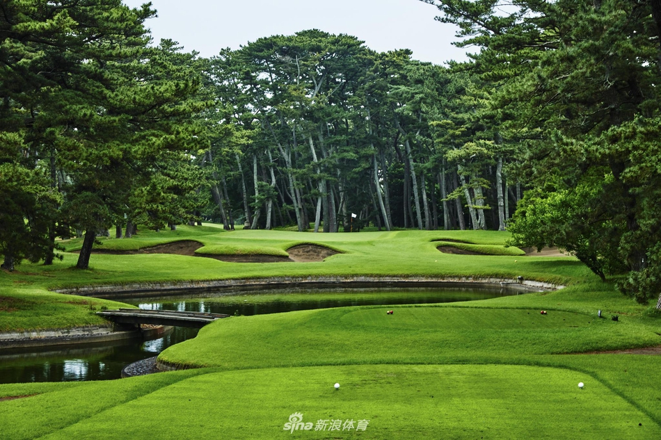 蜿蜒穿过古老松林的球道，阳光洒下形成一道道光廊，静谧而富有挑战