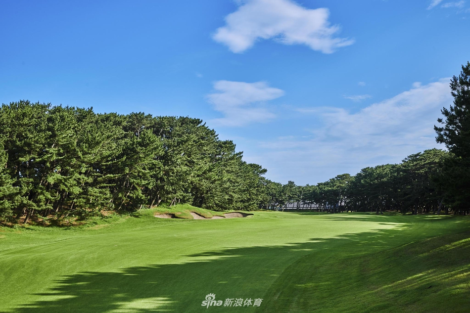 夕阳西下，金色余晖洒满整个球场与远处的海平面，勾勒出一幅宁静而宏大的画卷