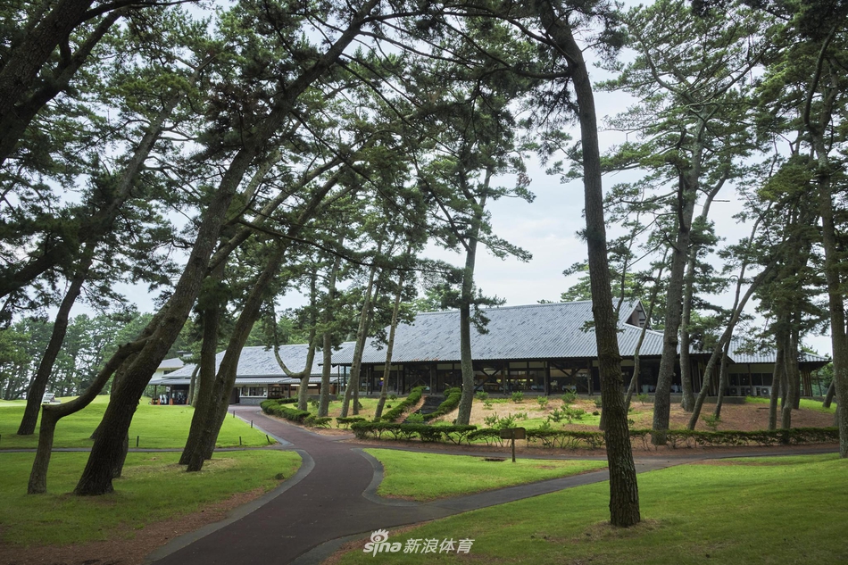 球道在黄昏柔和的光线下呈现出丰富的层次与质感，仿佛一条通往海洋的绿色河流