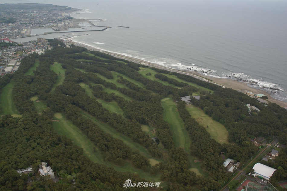 晨曦中的第一洞开球台，球道如绿毯般向远方的松林延伸，静谧中酝酿着一天的挑战