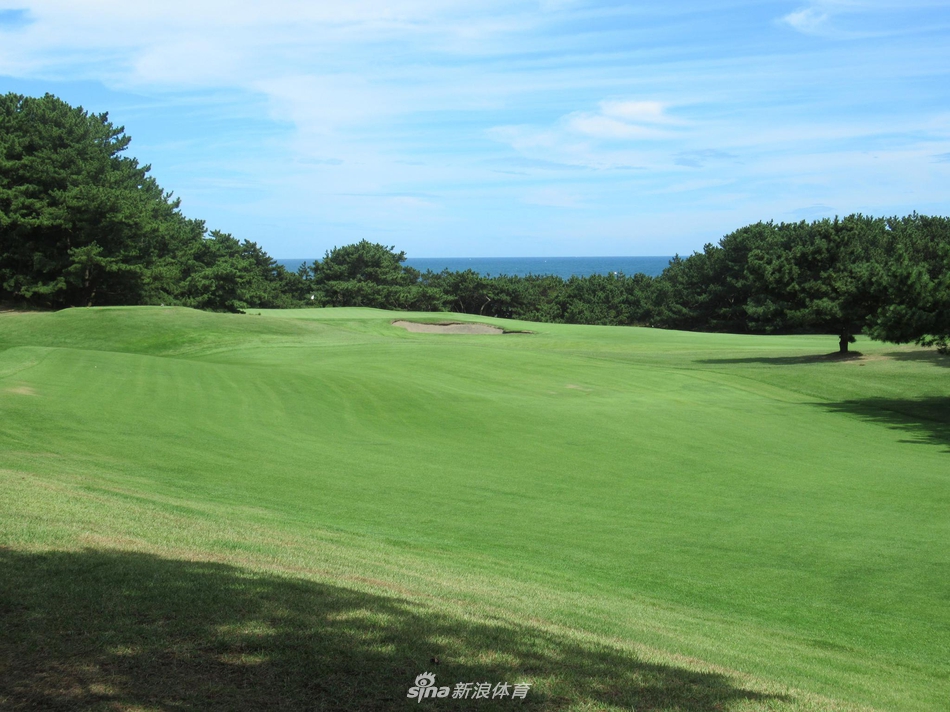 精心养护的果岭如绿丝绒般平整，球洞旗在微风中轻扬，等待下一记完美的推杆