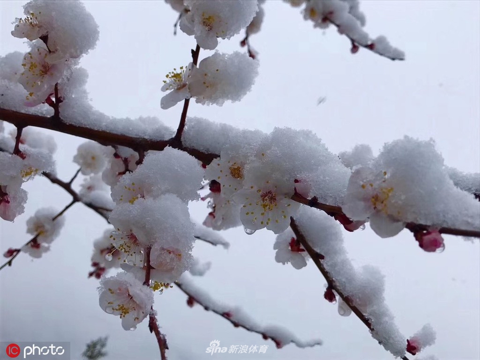北京城内外雨雪交加景色美 山区一片银装素裹
