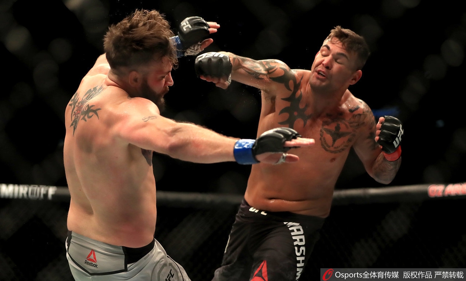 ufc伦敦格斗之夜场面火爆