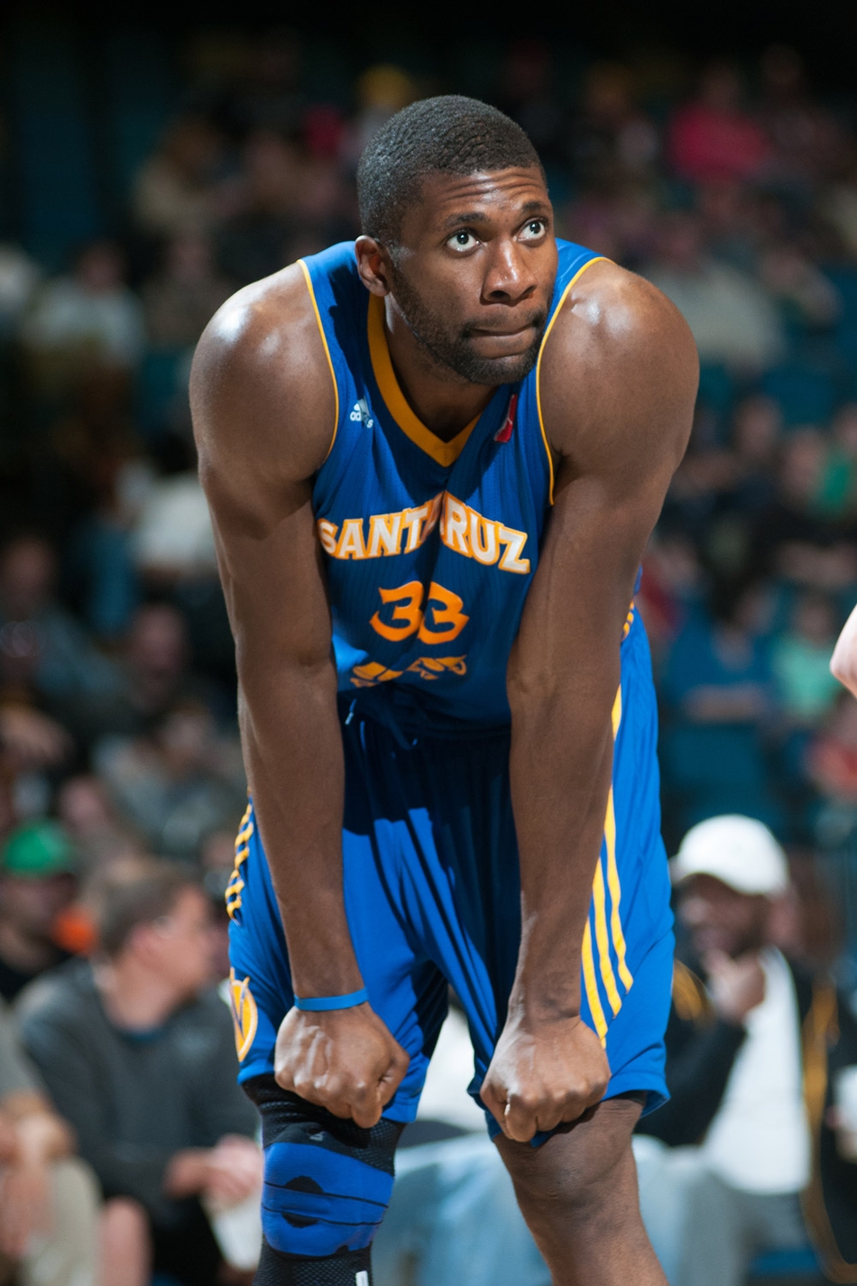 埃泽利 2015年1月