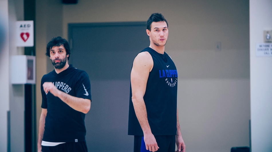 特奥多西奇和加里纳利 2017年12月