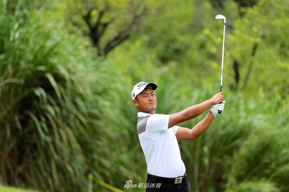 球员在果岭上仔细阅读线路，准备关键一推进洞