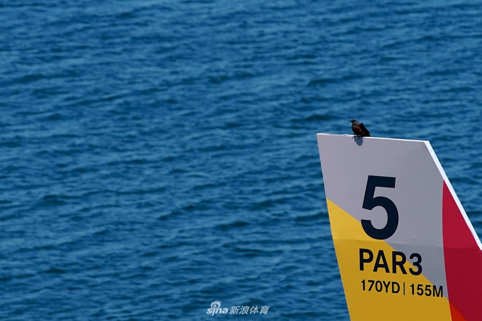 巨大的特色球洞指路牌矗立在发球台旁，清晰地标示着'5号洞 PAR3 170码'，背景是辽阔的蔚蓝海洋，指引着球员向壮丽的海景开球。