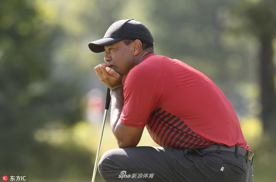 老虎伍兹在TPC波士顿球场上专注推杆，阳光勾勒出他经典的击球轮廓。