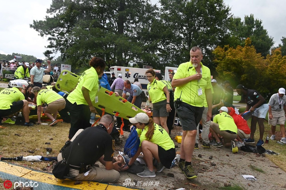 被雷电击中的松树,树干从上至下裂开,露出内部焦黑的痕迹,四周散落着碎片