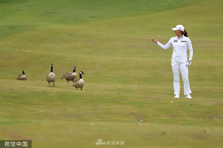 张斯洋在比赛中优雅流畅地完成挥杆动作，身体姿态完美平衡，球杆在空气中划出一道有力的弧线。