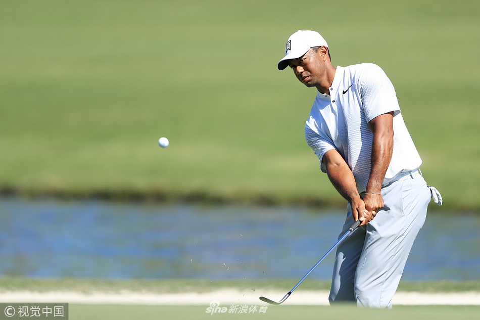 老虎伍兹与资深球童并肩前行，深入探讨球场策略与击球选择