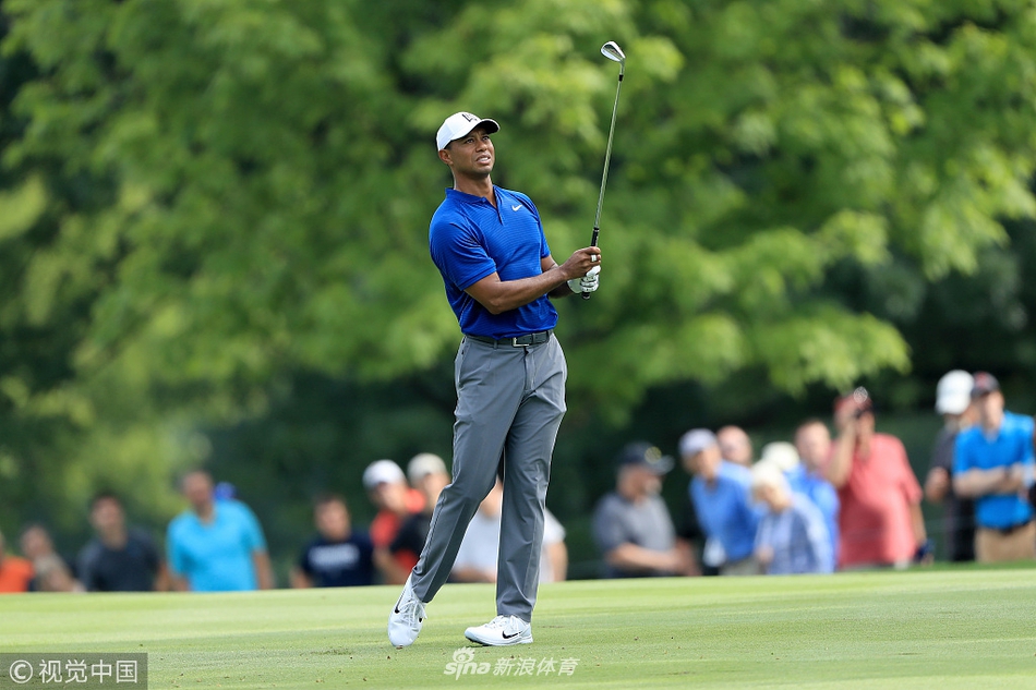 比赛现场观众簇拥在果岭周围,共同见证世界顶级高尔夫赛事的精彩时刻