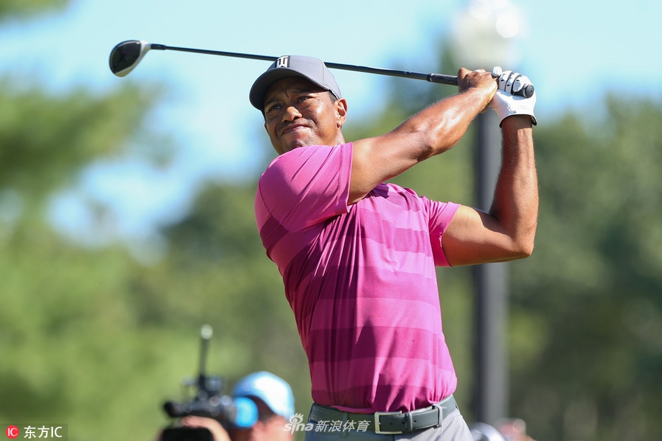 伍兹在球道沙坑中救球，全神贯注地分析球位与击球路线，展现了困境中的冷静与策略