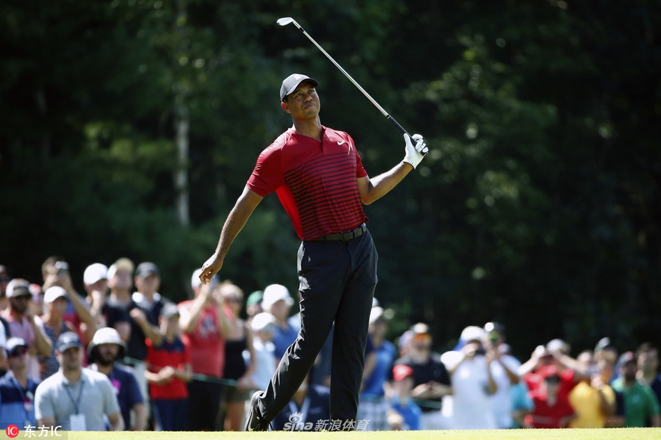 伍兹低头凝视小白球，果岭光影交错，计算着精准的推击路线。