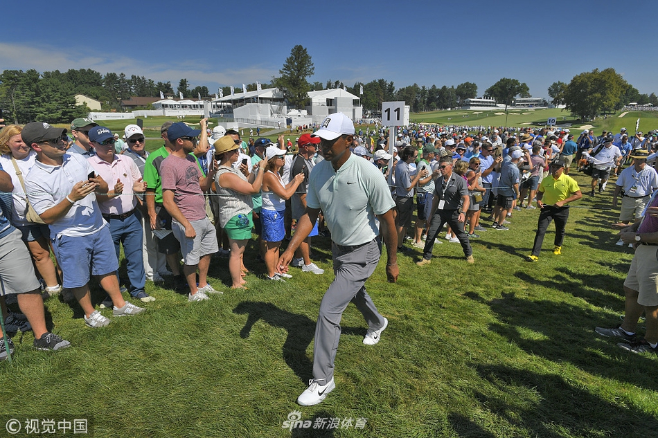 伍兹在第十六洞果岭上，俯身仔细观察小球推击线路，阳光洒在他的红色标志性 polo 衫上。