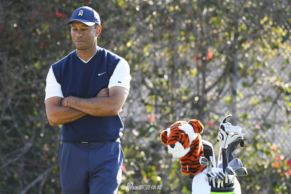 伍兹站在洒满阳光的球道上,单手叉腰远眺果岭方向,仿佛正在心中精密计算下一杆的击球策略。