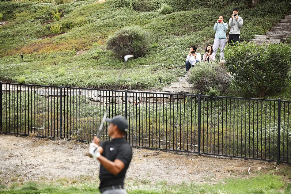 伍兹在果岭上单膝跪地，仔细阅读推杆线路，手指轻触草皮感受坡度。