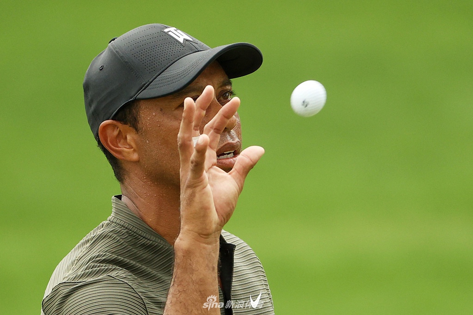 老虎伍兹在果岭边细致观察推杆线路，神情专注，仿佛在阅读一首只有他能懂的地形诗篇