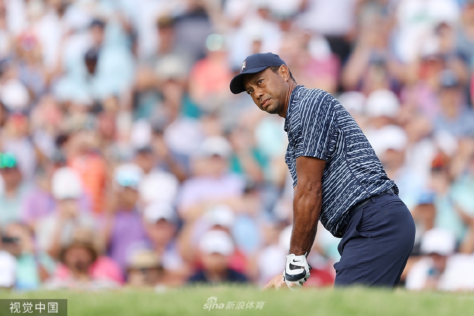 伍兹在第十洞果岭审视推杆线路，专注的眼神中透露出对胜利的渴望。