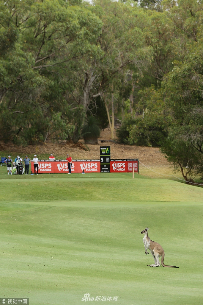 特写镜头下球手在发球台凝神准备，表情坚毅自信