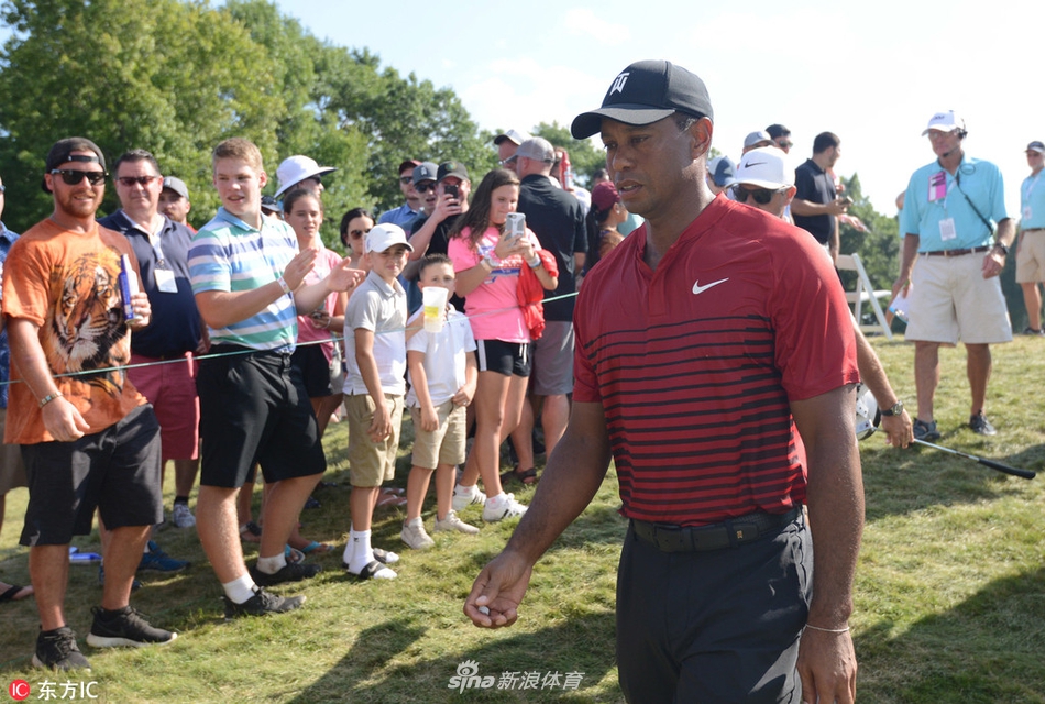 球迷装扮成的假老虎正开怀大笑，与真老虎的严肃神情形成有趣对比。