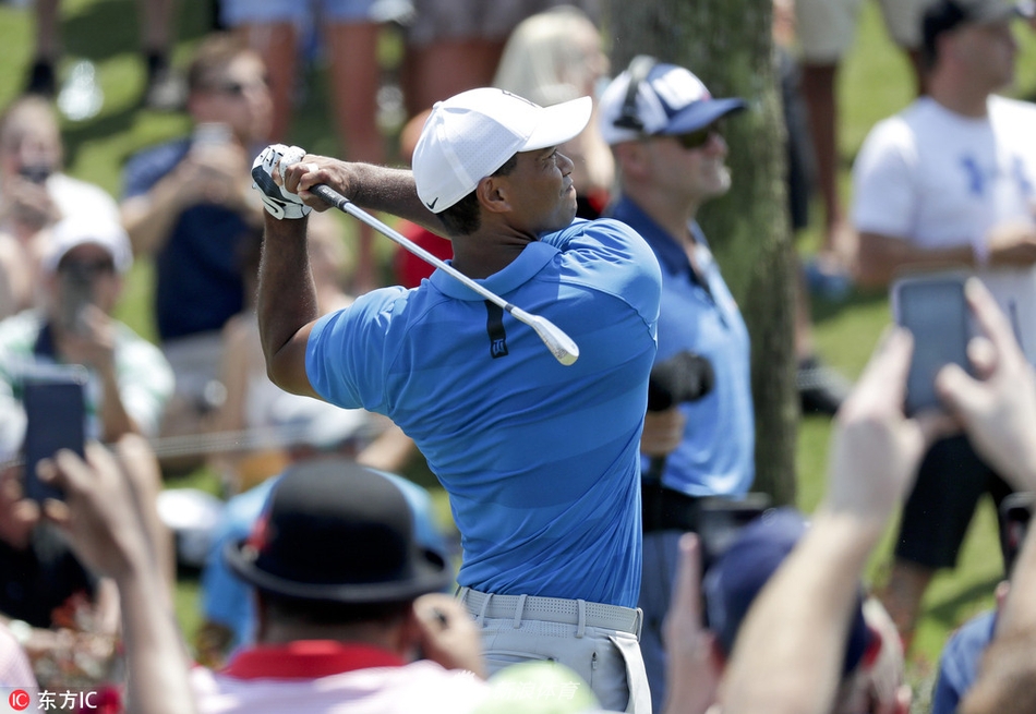 老虎伍兹在果岭边凝神切击，身姿沉稳，尽显大师风范