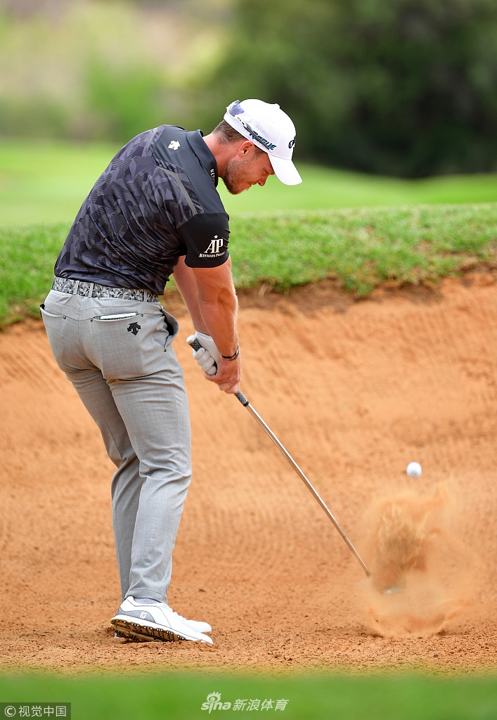 树枝上三四只猴子安静地观看着下方的高尔夫比赛,神态专注仿佛资深评委